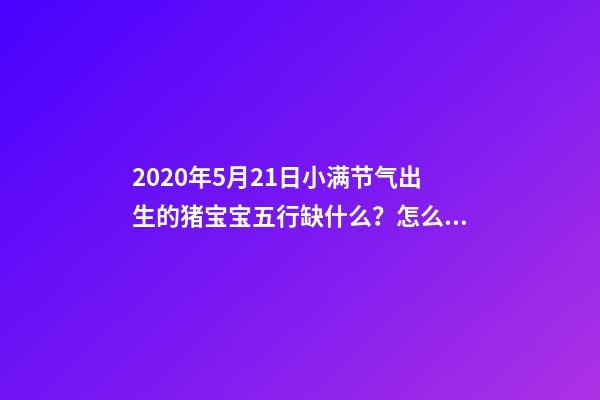 2020年5月21日小满节气出生的猪宝宝五行缺什么？怎么化解？ 84年5月21日五行属什么，1984年属鼠的五行属什么-第1张-观点-玄机派